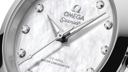 Seamaster Aqua Terra 150M 30 mm, steel on steel