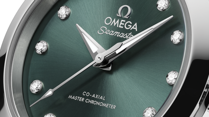 Seamaster Aqua Terra 150M 30 mm, steel on steel
