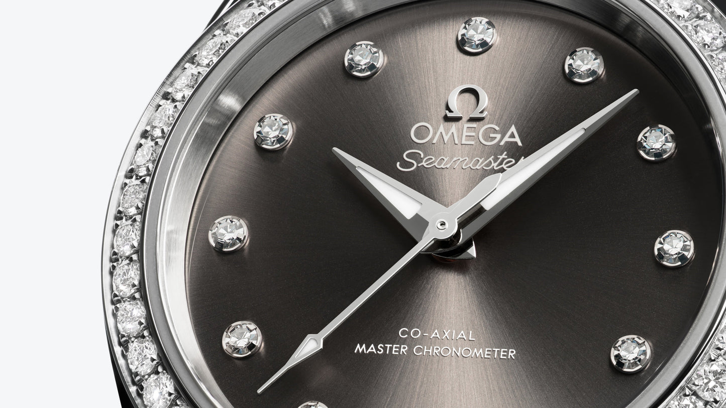 Seamaster Aqua Terra 150M 30 mm, steel on steel