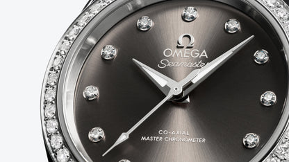 Seamaster Aqua Terra 150M 30 mm, steel on steel