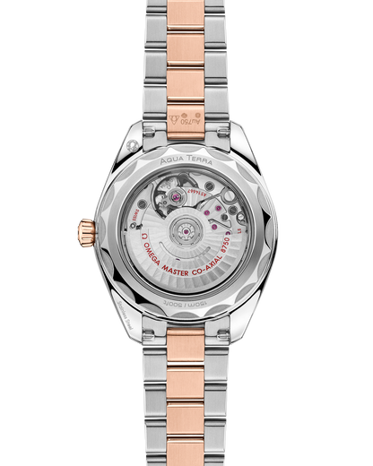Seamaster Aqua Terra 150M 30 mm, steel ‑ Sedna™ gold on steel ‑ Sedna™ gold