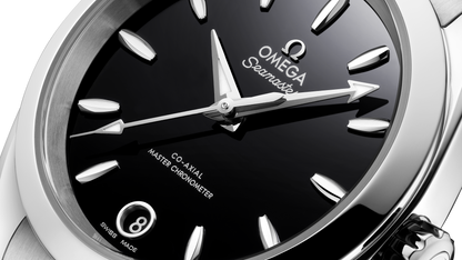 Seamaster Aqua Terra 150M 34 mm, steel on steel