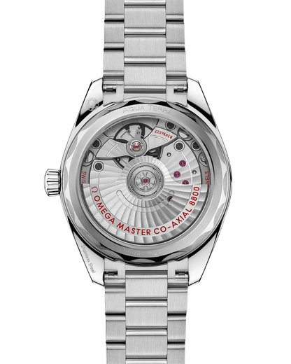 Seamaster Aqua Terra 150M 34 mm, steel on steel