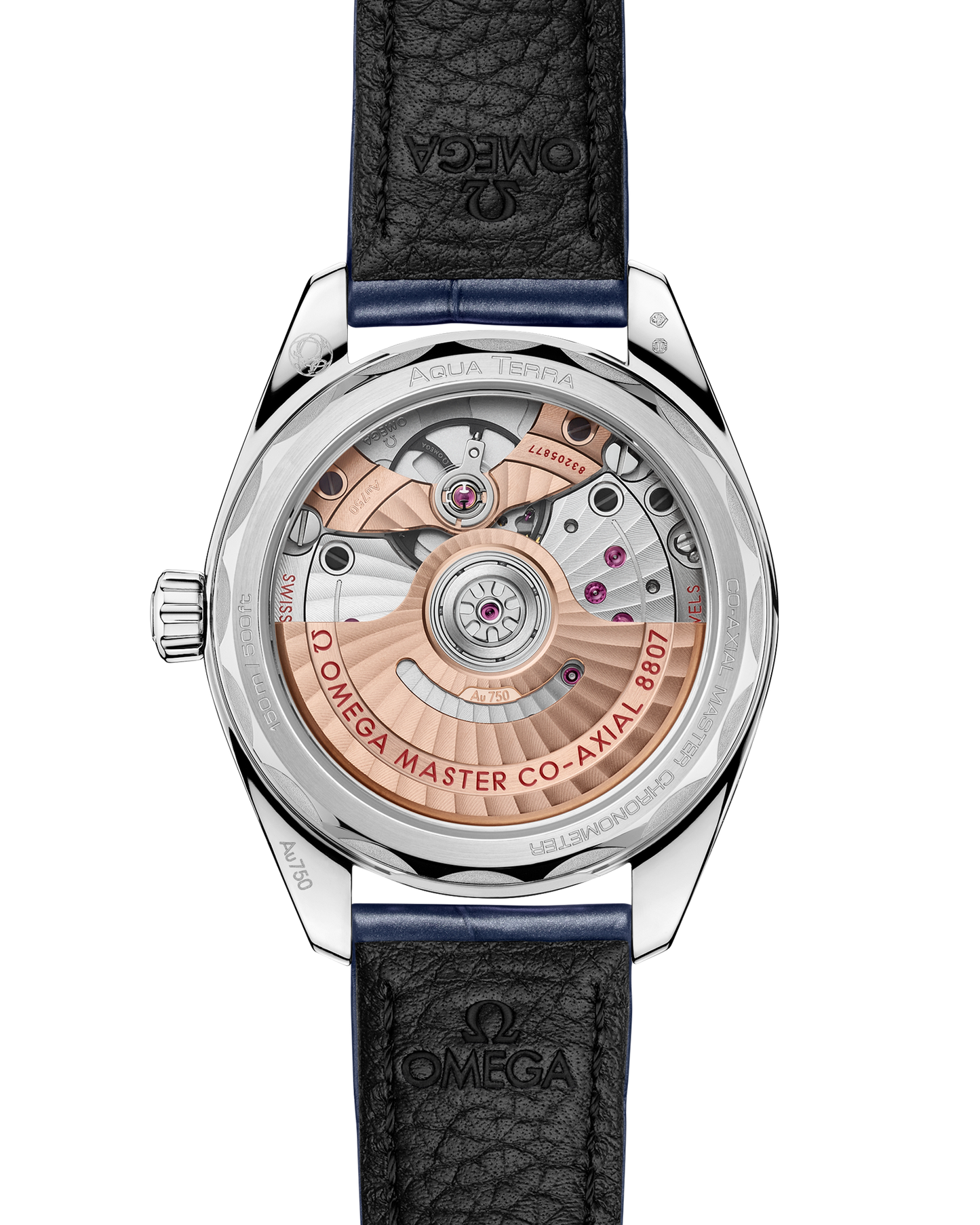 Seamaster Aqua Terra 150M 34 mm, Canopus Gold™ on alligator