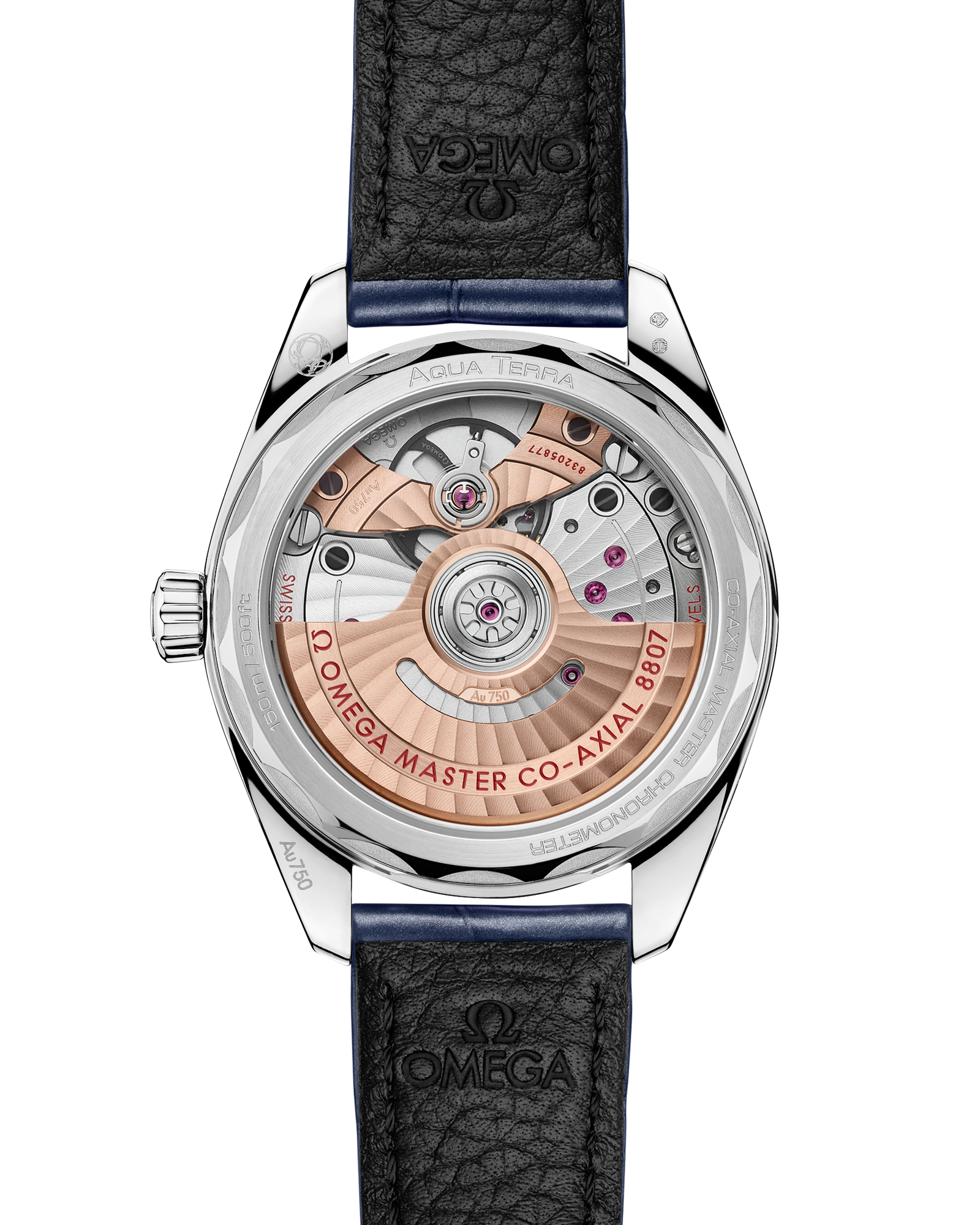 Seamaster Aqua Terra 150M 34 mm, Canopus Gold™ on alligator