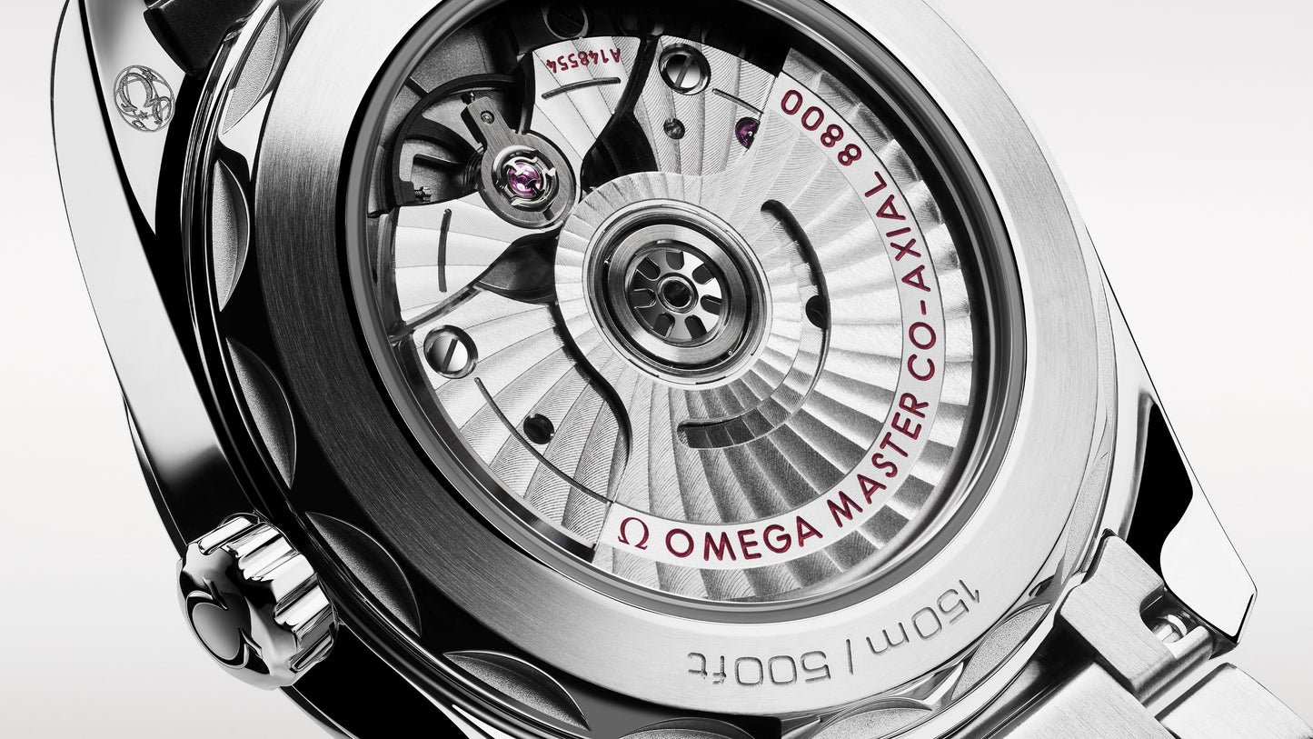 Seamaster Aqua Terra 150M 38 mm, steel on steel