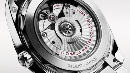 Seamaster Aqua Terra 150M 38 mm, steel on steel