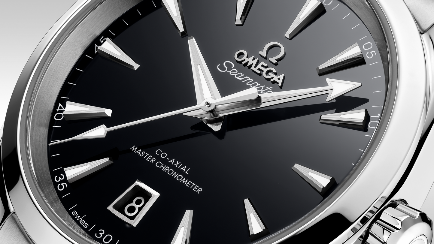 Seamaster Aqua Terra 150M 38 mm, steel on steel