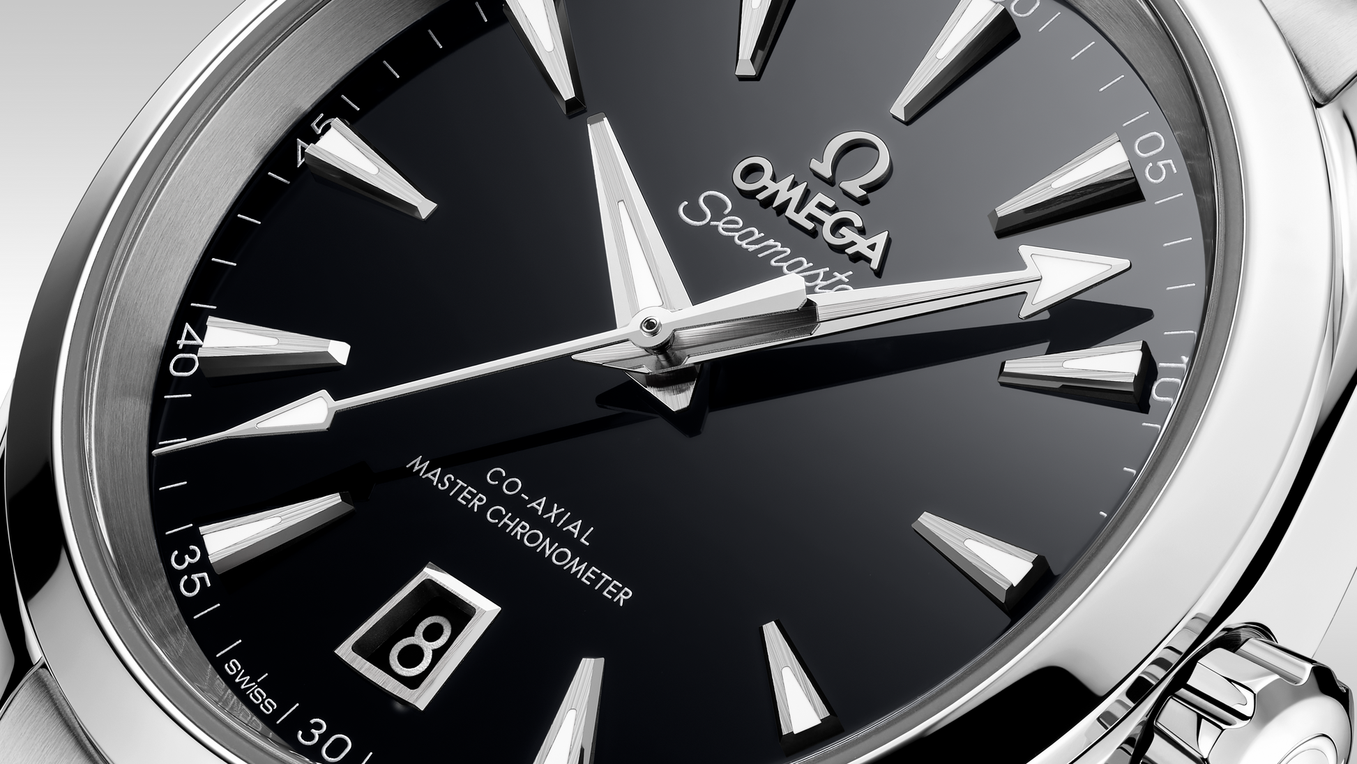 Seamaster Aqua Terra 150M 38 mm, steel on steel