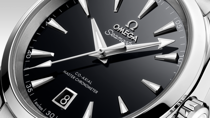 Seamaster Aqua Terra 150M 38 mm, steel on steel