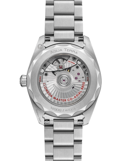 Seamaster Aqua Terra 150M 38 mm, steel on steel