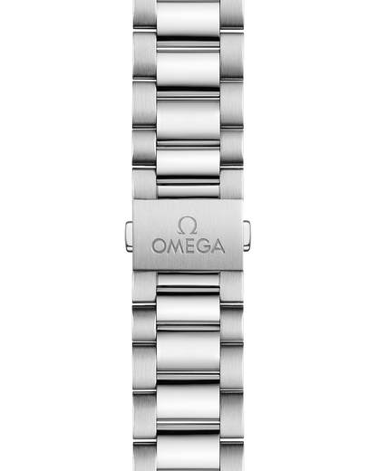 Seamaster Aqua Terra 150M 38 mm, steel on steel