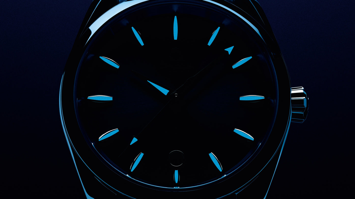 Seamaster Aqua Terra 150M 38 mm, steel on steel
