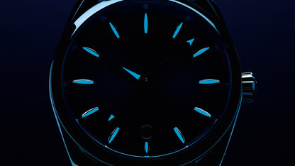 Seamaster Aqua Terra 150M 38 mm, steel on steel
