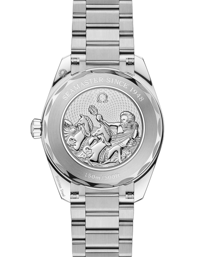 Seamaster Aqua Terra 150M 38 mm, steel on steel