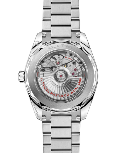 Seamaster Aqua Terra 150M 38 mm, steel on steel
