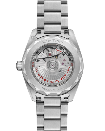 Seamaster Aqua Terra 150M 38 mm, steel on steel