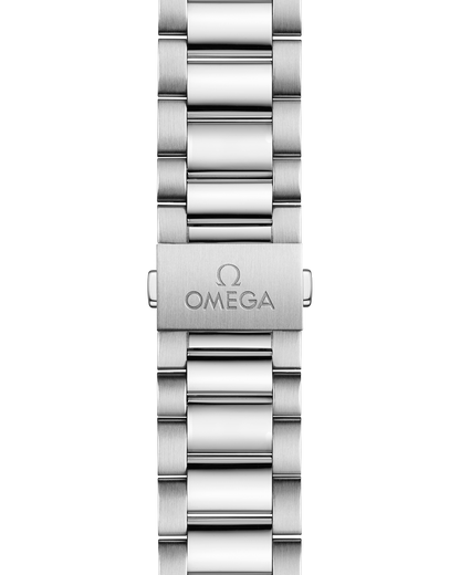 Seamaster Aqua Terra 150M 38 mm, steel on steel