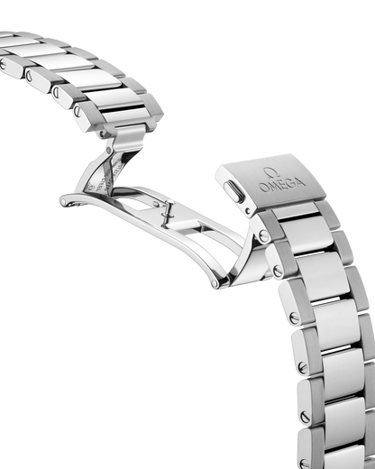 Seamaster Aqua Terra 150M 38 mm, steel on steel