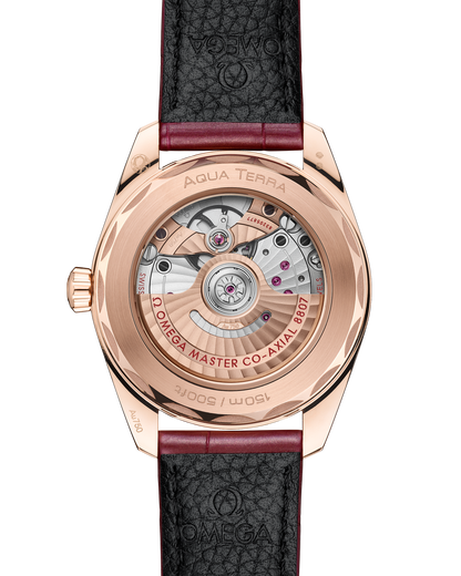 Seamaster Aqua Terra 150M 38 mm, Sedna™ gold on leather strap