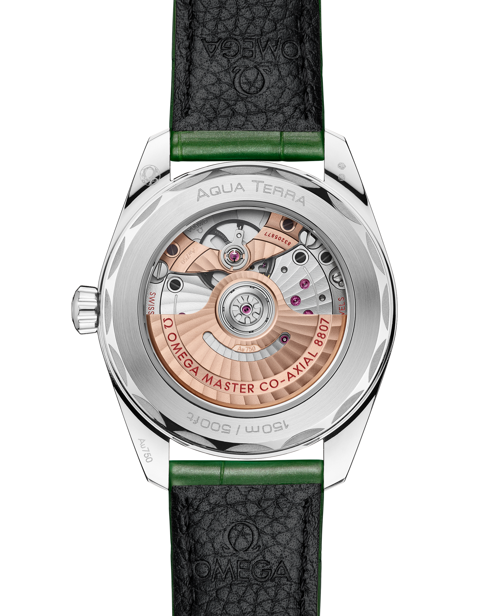 Seamaster Aqua Terra 150M 38 mm, Canopus Gold™ on alligator