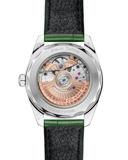 Seamaster Aqua Terra 150M 38 mm, Canopus Gold™ on alligator