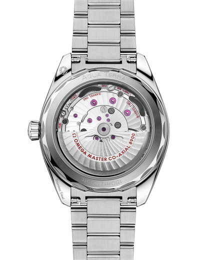 Seamaster Aqua Terra 150M 41 mm, steel on steel