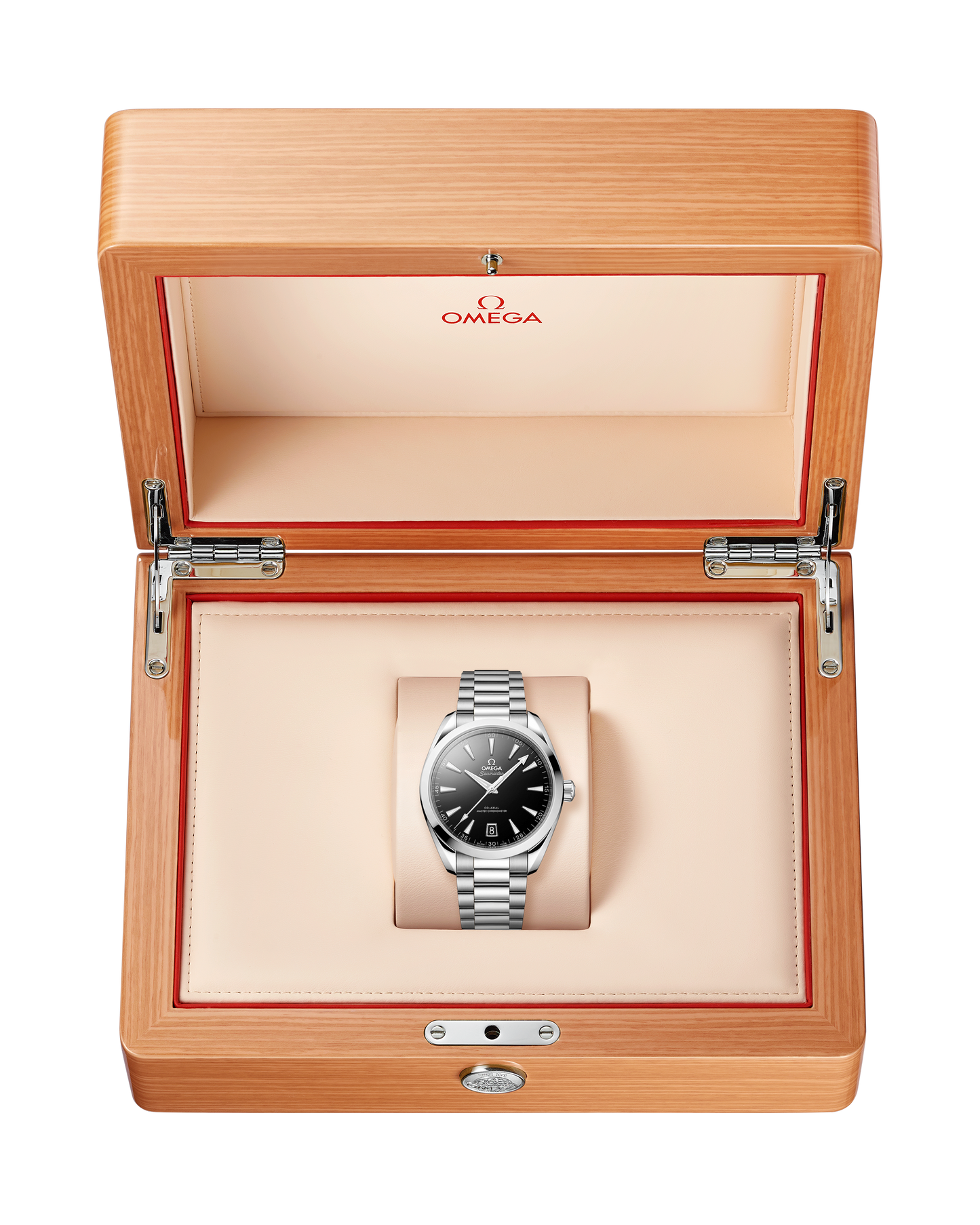 Seamaster Aqua Terra 150M 41 mm, steel on steel