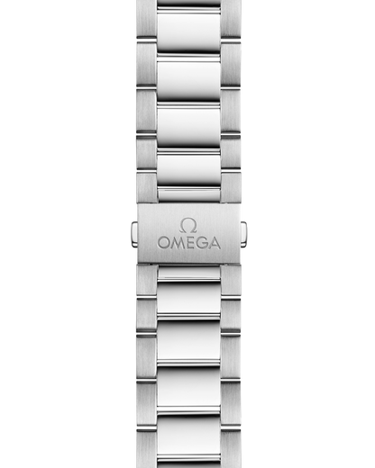 Seamaster Aqua Terra 150M 41 mm, steel on steel
