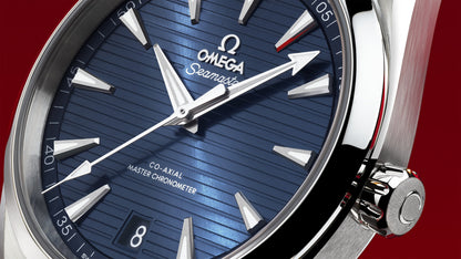 Seamaster Aqua Terra 150M 41 mm, steel on steel