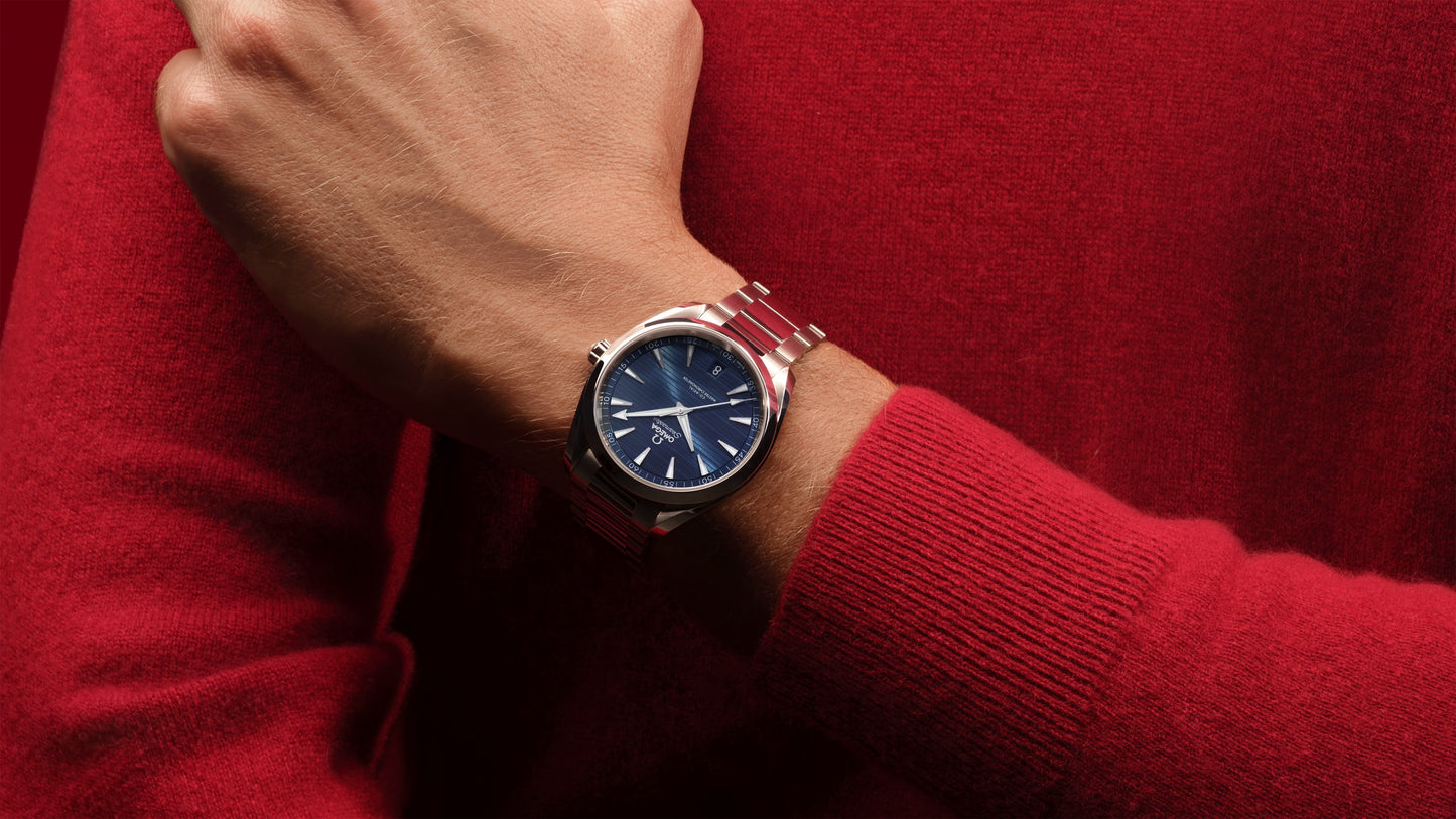 Seamaster Aqua Terra 150M 41 mm, steel on steel