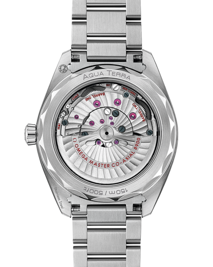 Seamaster Aqua Terra 150M 41 mm, steel on steel