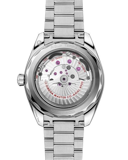 Seamaster Aqua Terra 150M 41 mm, steel on steel