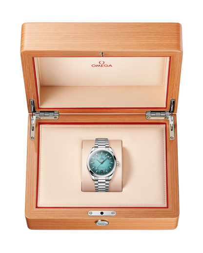 Seamaster Aqua Terra 150M 41 mm, steel on steel
