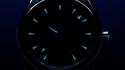 Seamaster Aqua Terra 150M 41 mm, steel on rubber strap