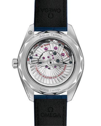 Seamaster Aqua Terra 150M 41 mm, steel on leather strap