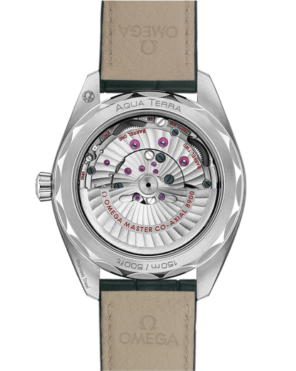 Seamaster Aqua Terra 150M 41 mm, steel on leather strap