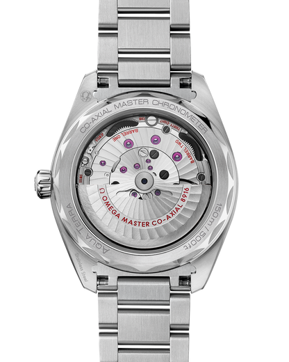 Seamaster Aqua Terra 150M 41 mm, steel on steel