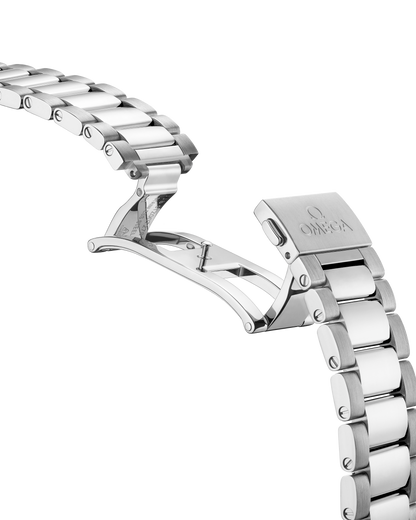 Seamaster Aqua Terra 150M 41 mm, steel on steel