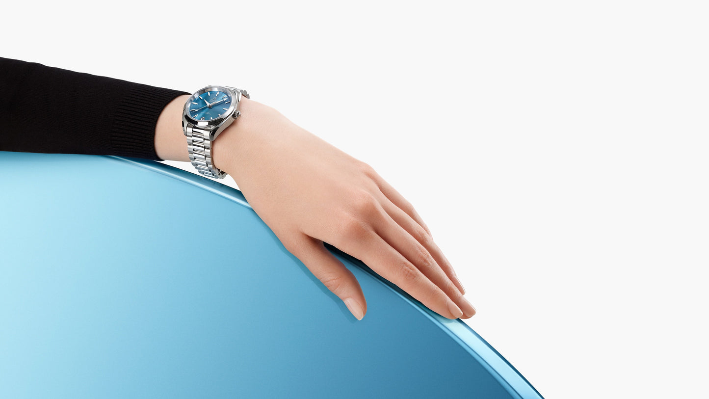 Seamaster Aqua Terra Shades 34 mm, steel on steel