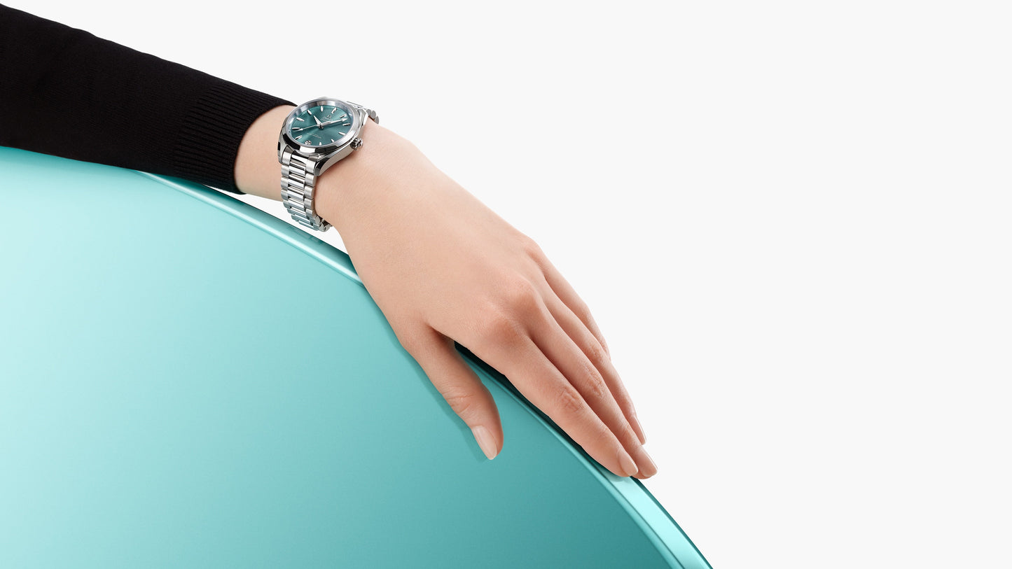 Seamaster Aqua Terra Shades 34 mm, steel on steel