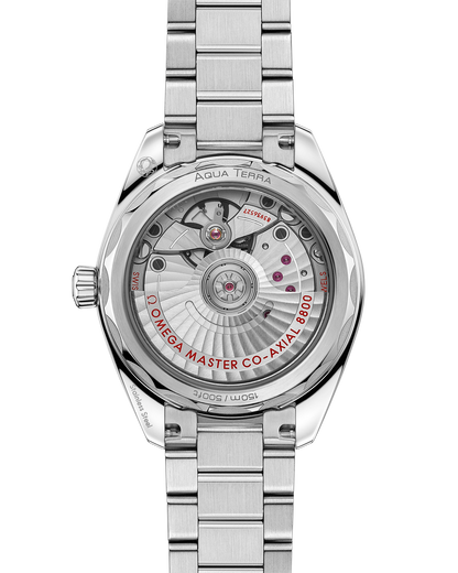 Seamaster Aqua Terra Shades 34 mm, steel on steel
