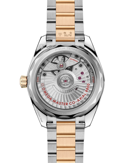 Seamaster Aqua Terra Shades 34 mm, steel ‑ Moonshine™ gold on steel ‑ Moonshine™ gold