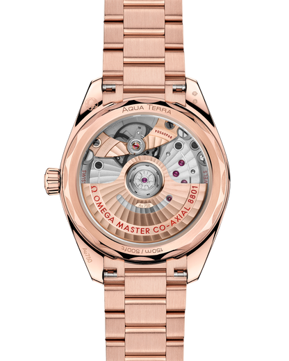 Seamaster Aqua Terra Shades 34 mm, Sedna™ gold on Sedna™ gold