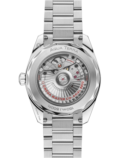 Seamaster Aqua Terra Shades 38 mm, steel on steel