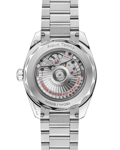 Seamaster Aqua Terra Shades 38 mm, steel on steel