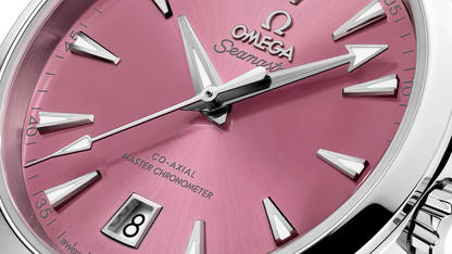 Seamaster Aqua Terra Shades 38 mm, steel on steel