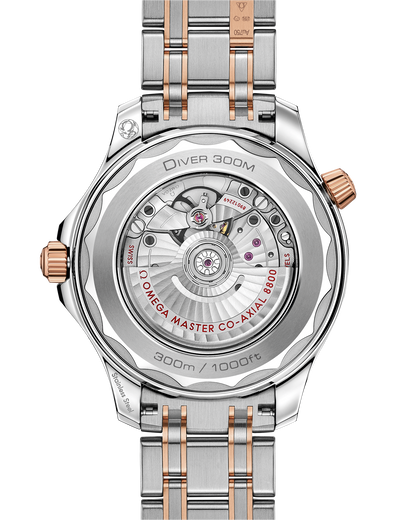 Seamaster Diver 300M 42 mm, steel ‑ Sedna™ gold on steel ‑ Sedna™ gold