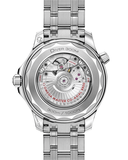 Seamaster Diver 300M 42 mm, steel on steel