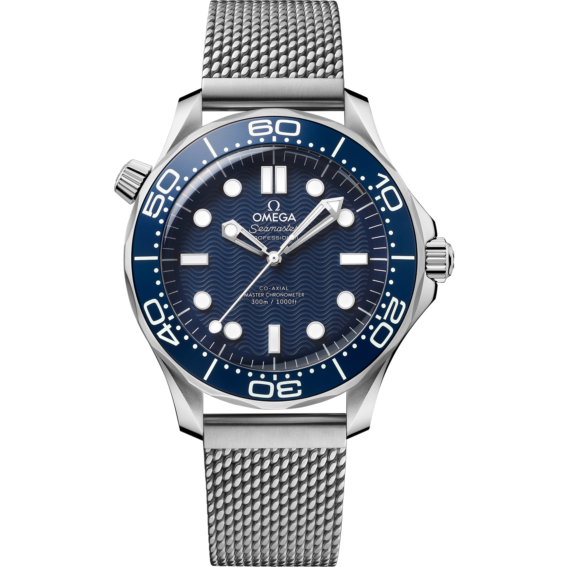 Seamaster Diver 300M 42 mm, steel on steel